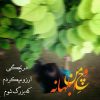 جمـلاتی الـهام بخـش برای زنـدگی (۸۵)