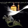  اس ام اس تسلیت شهادت امام رضا علیه السلام (۸)