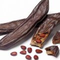  گیاه خرنوب چیست و چه خواصی دارد؟
