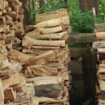تصویر پنهان در عکس را بیابید (۲)