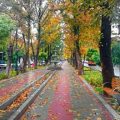 ملایر و طبیعت معتدل کوهستانی