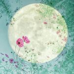 زندگی زیباست (۱۰۱)
