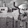 ضرب المثل بوق سگ!