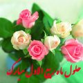 اس ام اس تبریک ماه ربیع الاول (۵)