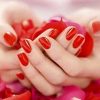 فواید گل رز برای پوست و زیبایی