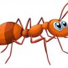 قصه ی موچی بی دقته