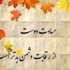 حسادت یا حماقت