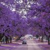 زیباترین خیابان های جهان (۱)