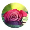 برش دایره ای عکس در فتوشاپ