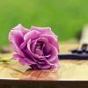 جملات زیبا و خواندنی (۴۲)