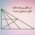 تست هوش تمام مثلثهای شکل را بشمارید