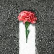 شعر ورود امام خمینی به ایران (۲)