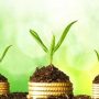 شکوفایی خلاقیت، با این کارها