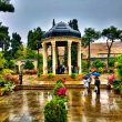 در سفر به شیراز چی سوغات بیاوریم؟