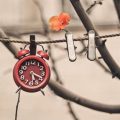  اس ام اس تبریک آغاز فصل بهار