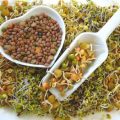 خاصیت جوانهها برای بدن
