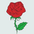 قصه باغچه مادربزرگ
