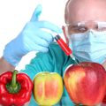 مزایا و معایب غذاهای اصلاح شده ژنتیکی