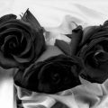 اس ام اس شب جمعه و فاتحه برای اموات (۳)