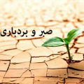 احادیثی از امام علی (ع) درباره بردباری