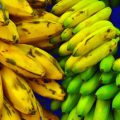 تفاوت پلانتین و موز