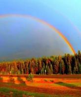 رنگین کمان های زیبا در نماهای مختلف+عکس