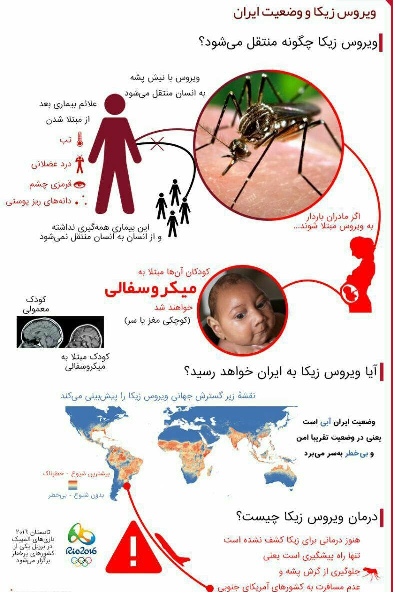 احتمال انتقال زیکا ازراه ارتباط جنسی