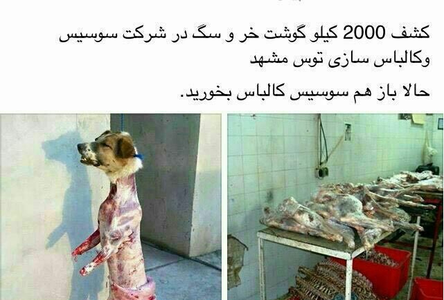 2000 کیلو گوشت سگ تبدیل به سوسیس شد!؟+تصاویر