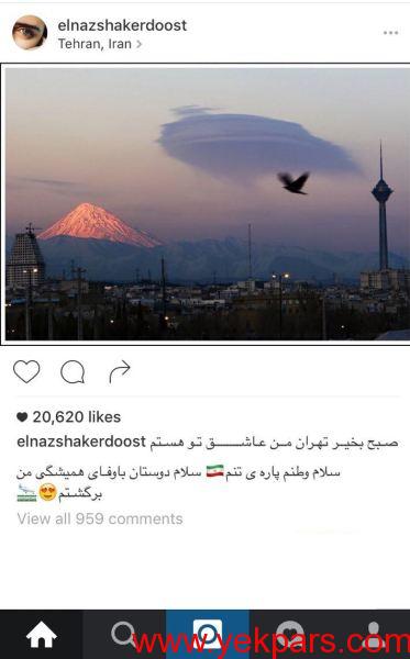 «الناز شاکردوست» به کشور بازگشت +عکس