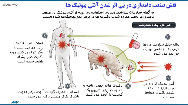 خطرات آنتی بیوتیک در مواد غذایی جدی گرفته شود!