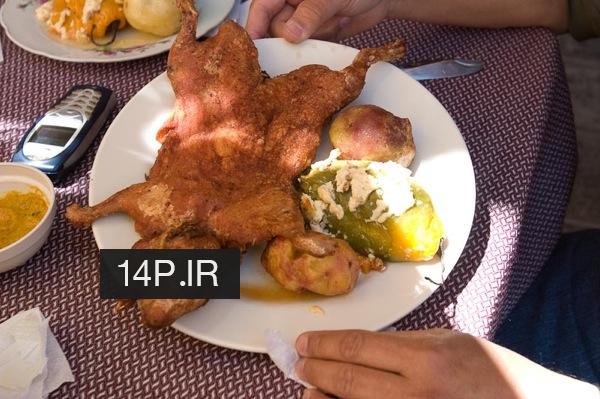خوکچه هندی غذای مورد علاقه اهالی کشور پرو و اکوادور