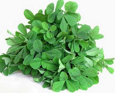 خواص باورنکردنی شنبلیله برای درمان خارش پوست سر