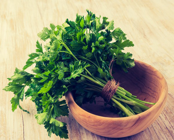 جعفری و خواص بی نظیرش برای پوست و مو