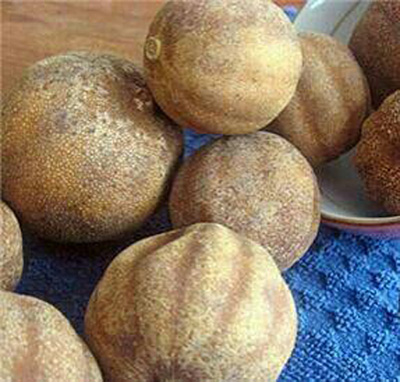 لیمو عمانی خانگی