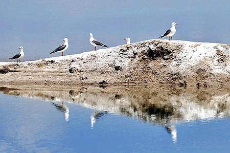 تالاب میقان