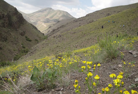آبشار جنگلک کجاست