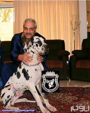 مهران مديری و سگ عظيم الجثه +عکس