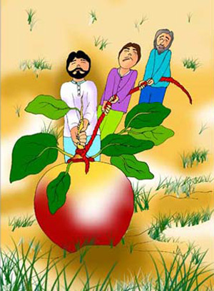 ضرب المثل جالب بیله دیگه ، بیله چغندر