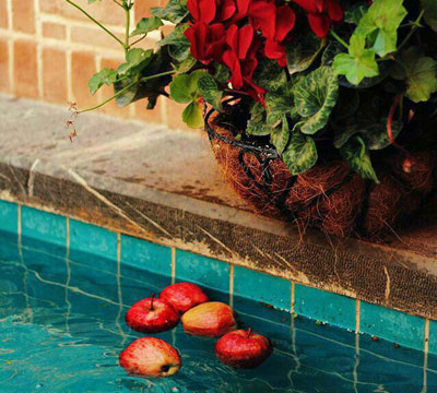 اس ام اس های جالب فلسفی (سری 20)