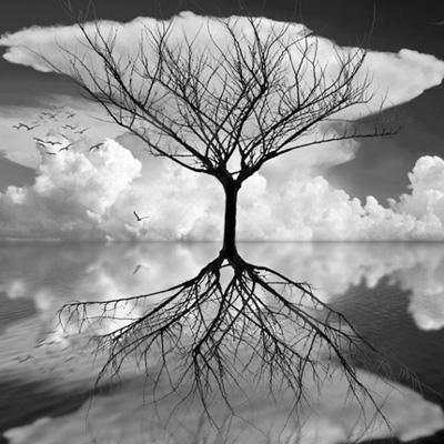 دیالوگ های زیبا و ماندگار فیلم ها