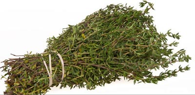 خواص معجزه آسای گیاه آنخ (کاکوتی)