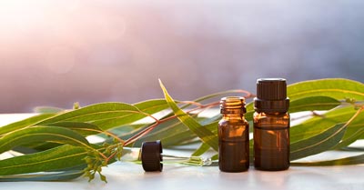 مزیت های روغن اوکالیپتوس برای سلامتی