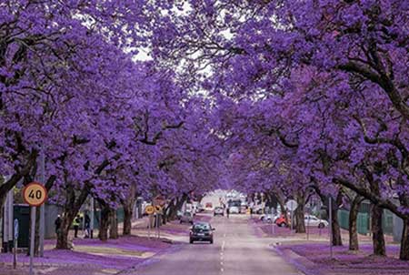 زیباترین خیابان های جهان (1)