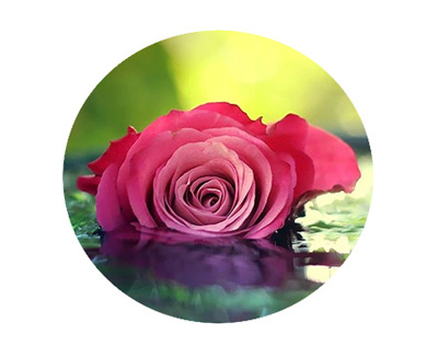 برش دایره ای عکس در فتوشاپ
