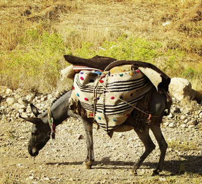 ضرب المثل بار کج به منزل نمی‌رسد