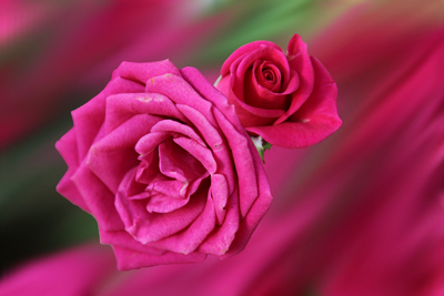 گل کاغذی از ژاکلین مطرح‌ترین ترانه‌سرا و آهنگ‌ساز ایرانی